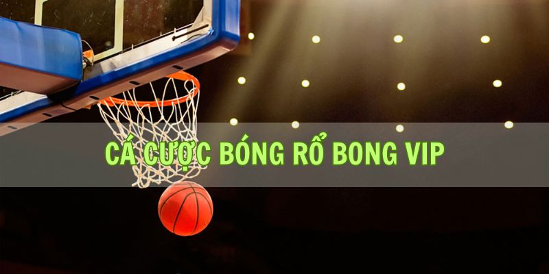 Cá cược bóng rổ Bong vip