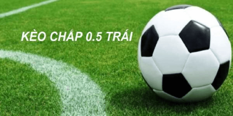 Kèo Chấp 0.5 Bongvip